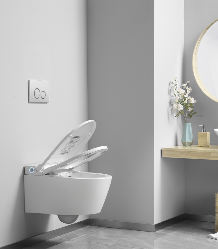 Brunnen Wal BW-2401-5 Готовое решение BRUNNEN EISWAL-9303 White Drop