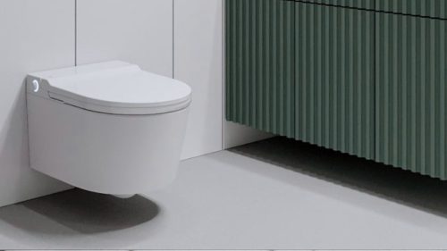 Стоит ли устанавливать умный унитаз